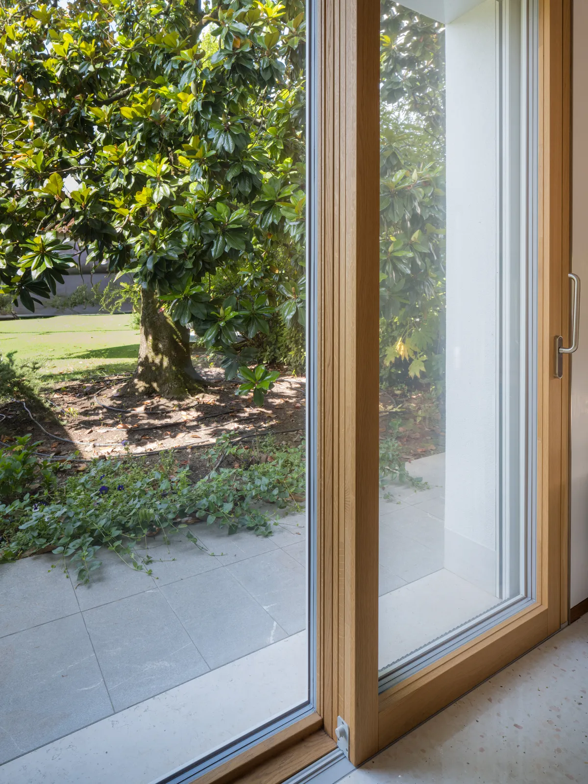 Finestra in rovere spazzolato con vista sulla magnolia